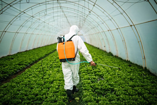 Best Best Pest Control Near Me  in Kayenta, AZ