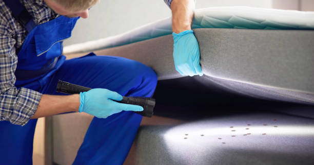 Best Mosquito Control Services  in Kayenta, AZ